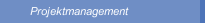 Projektmanagement