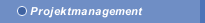 Projektmanagement